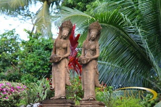 BVR - PHUKET