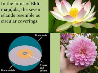 In the lotus of Bhü-
maëòala, the seven
islands resemble as
circular coverings:
 