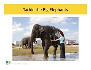 Copyright © 2013 Big Visible Solutions
Tackle	
  the	
  Big	
  Elephants	
  
 