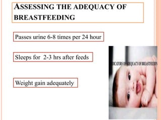 ASSESSING THE ADEQUACY OF
BREASTFEEDING
Passes urine 6-8 times per 24 hour
Sleeps for 2-3 hrs after feeds
Weight gain adequately
 