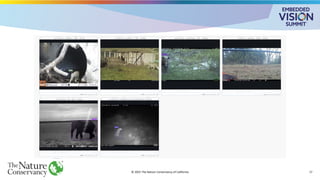 © 2025 The Nature Conservancy of California 17
 