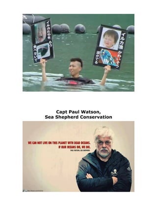 Capt Paul Watson,
Sea Shepherd Conservation
 