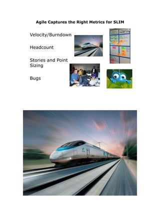 Agile Captures the Right Metrics for SLIM
Velocity/Burndown
Headcount
Stories and Point
Sizing
Bugs
 