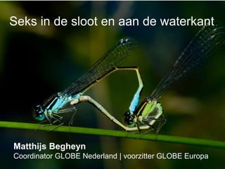 Seks in de sloot en aan de waterkant
Matthijs Begheyn
Coordinator GLOBE Nederland | voorzitter GLOBE Europa
 