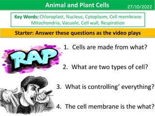 Animal and Plant Cells
10 October
Starter: Answer these questions as the video plays
Key Words: Chloroplast, Nucleus, Cytoplasm, Cell membrane
Mitochondria, Vacuole, Cell wall, Respiration
1. Cells are made from what?
2. What are two types of cell?
3. What is controlling’ everything?
4. The cell membrane is the what?
27/10/2022
 