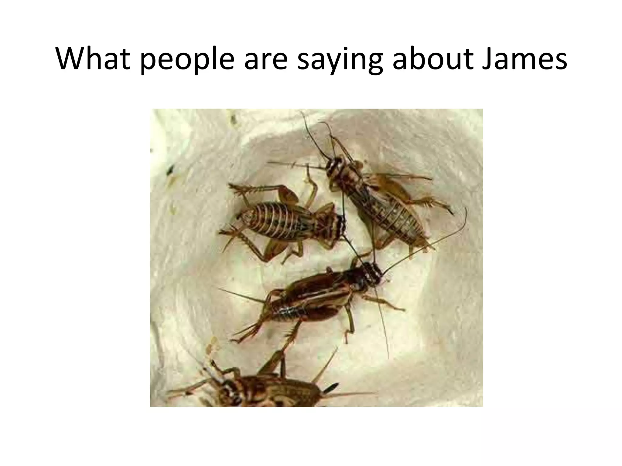 What people are saying about James
 