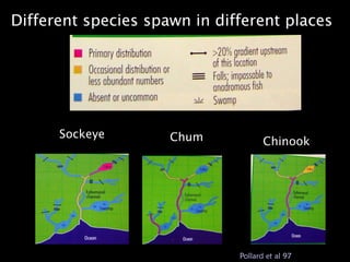 Different species spawn in different places
 