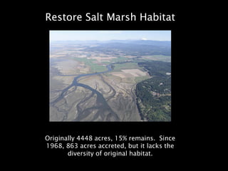 Restore or protect near shore and
                beach habitat

Shoreline 39% modified:
dike 15%
concrete 6%
rock 6%
wood...