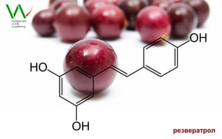 резвератрол
 