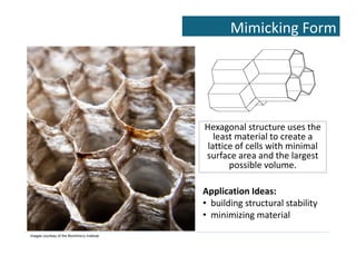 Biomimicry: Emulating Nature's Genius | PDF