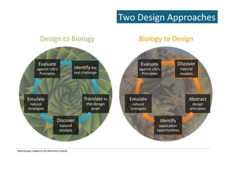 Biomimicry: Emulating Nature's Genius | PDF