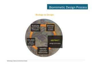 Biomimicry: Emulating Nature's Genius | PDF