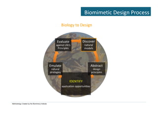 Biomimicry: Emulating Nature's Genius | PDF