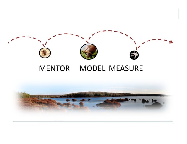 Biomimicry Emulating Nature s Genius