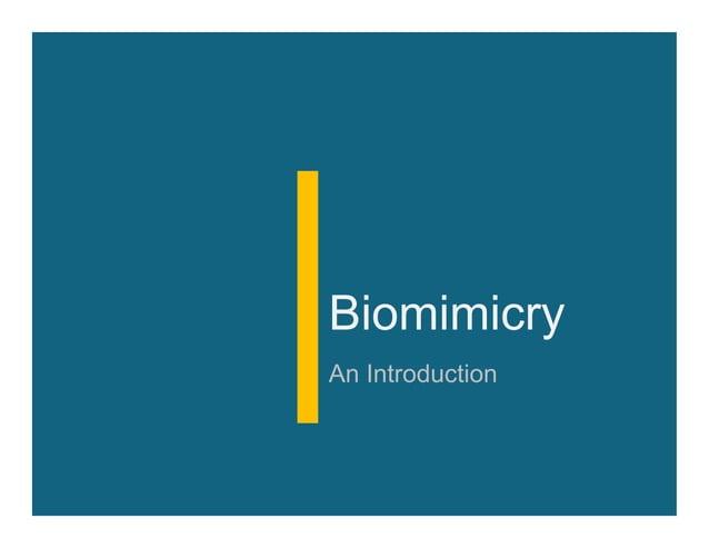 Biomimicry Emulating Nature s Genius