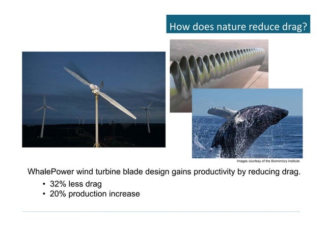 Biomimicry Emulating Nature s Genius