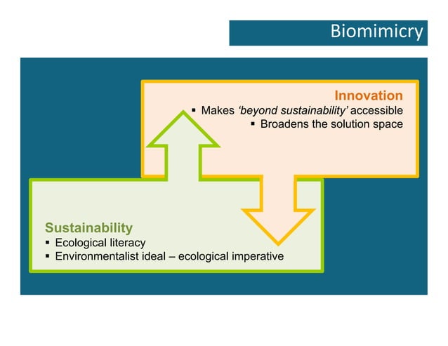 Biomimicry Emulating Nature s Genius