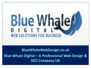 BlueWhaleWebDesign.co.uk Blue Whale Digital – A Professional Web Design & SEO Company UK  