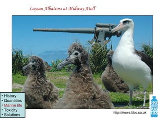 http://news.bbc.co.uk Laysan Albatross at Midway Atoll History Quantities Marine life Toxicity Solutions 