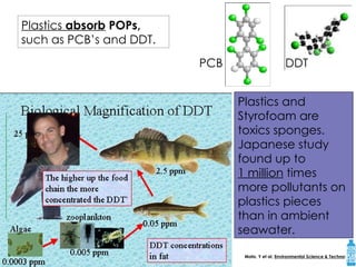 Plastics  absorb  POPs,  such as PCB’s and DDT. PCB  DDT Mato, Y et al,  Environmental Science & Technology Plastics and Styrofoam are toxics sponges. Japanese study found up to  1 million  times more pollutants on plastics pieces than in ambient seawater.  