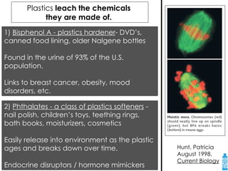 Plastics  leach the chemicals  they are made of.   1)  Bisphenol A - plastics hardener - DVD’s, canned food lining, older Nalgene bottles Found in the urine of 93% of the U.S. population.  Links to breast cancer, obesity, mood disorders, etc.  Hunt, Patricia  August 1998,  Current Biology 2)  Phthalates - a class of plastics softeners  - nail polish, children’s toys, teething rings, bath books, moisturizers, cosmetics Easily release into environment as the plastic ages and breaks down over time. Endocrine disruptors / hormone mimickers 