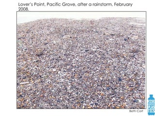 Lover’s Point, Pacific Grove, after a rainstorm, February 2008.   Beth Cort 