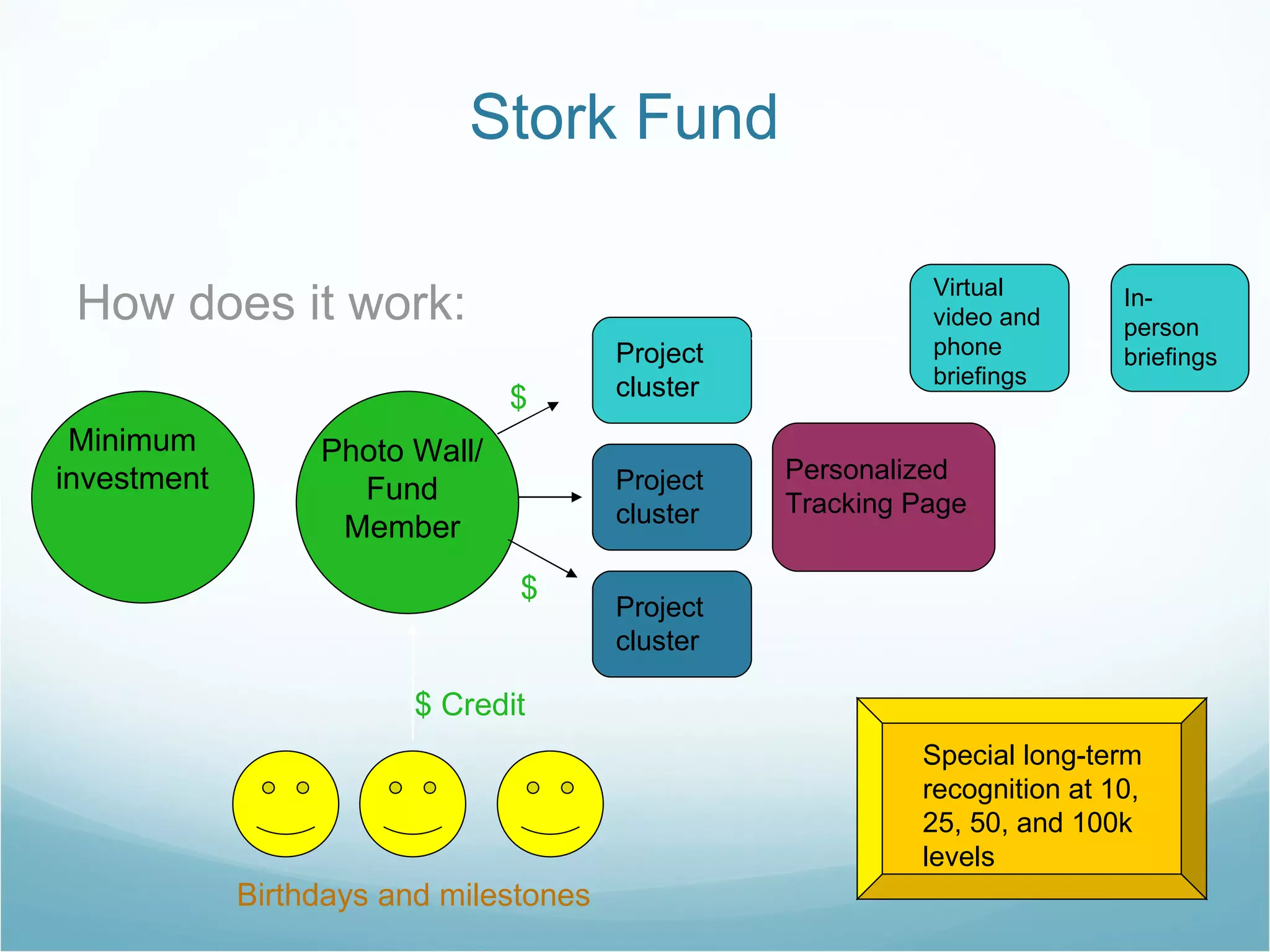 Stork Fund How does it work: Minimum  investment Project cluster Project cluster Project cluster Photo Wall/ Fund Member $ $ Birthdays and milestones  $ Credit Personalized Tracking Page Virtual video and phone briefings In-person briefings + Special long-term recognition at 10, 25, 50, and 100k levels 