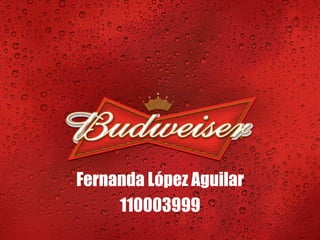 Fernanda López Aguilar
     110003999
 
