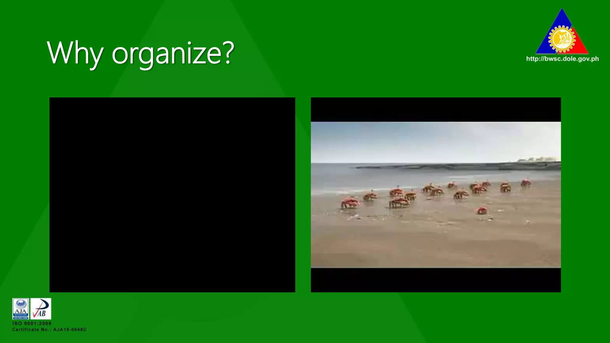 Why organize?
 