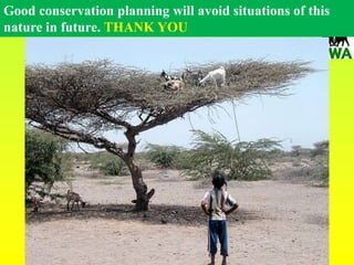 BWINDI IMPENETRABLE NATIONAL PARK (BINP) GENERAL MANAGEMENT PLAN 2013-2023