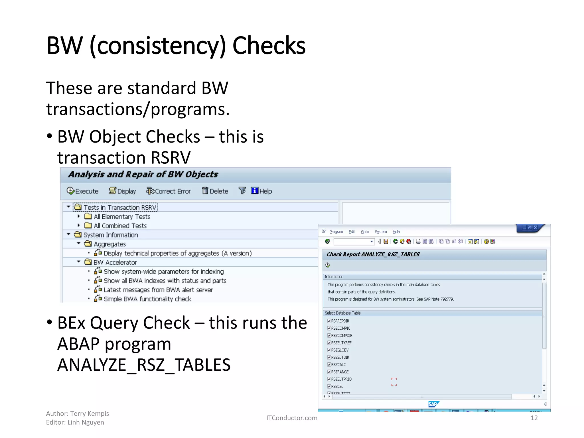 BW (consistency) Checks
These are standard BW
transactions/programs.
• BW Object Checks – this is
transaction RSRV
• BEx Query Check – this runs the
ABAP program
ANALYZE_RSZ_TABLES
Author: Terry Kempis
Editor: Linh Nguyen
ITConductor.com 12
 