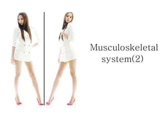 Musculoskeletal system(2)   