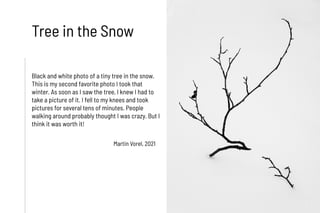 Tree in the Snow
Black and white photo of a tiny tree in the snow.
This is my second favorite photo I took that
winter. As...
