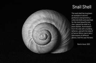 Snail Shell
Martin Vorel, 2021
The snail shell has long been
an example of nature's
perfection and symmetry. I
collected s...