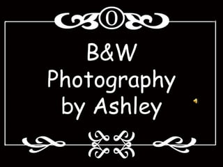 B&W Photography by Ashley  