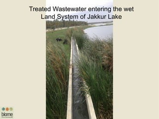 Treated Wastewater entering the wet
Land System of Jakkur Lake
 
