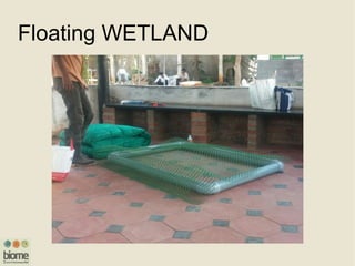 Floating WETLAND
 