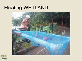 Floating WETLAND
 