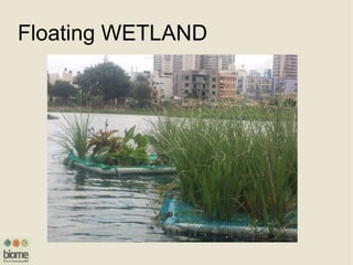 Floating WETLAND
 