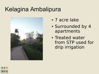 Kelagina Ambalipura
● 7 acre lake
● Surrounded by 4
apartments
● Treated water
from STP used for
drip irrigation
 