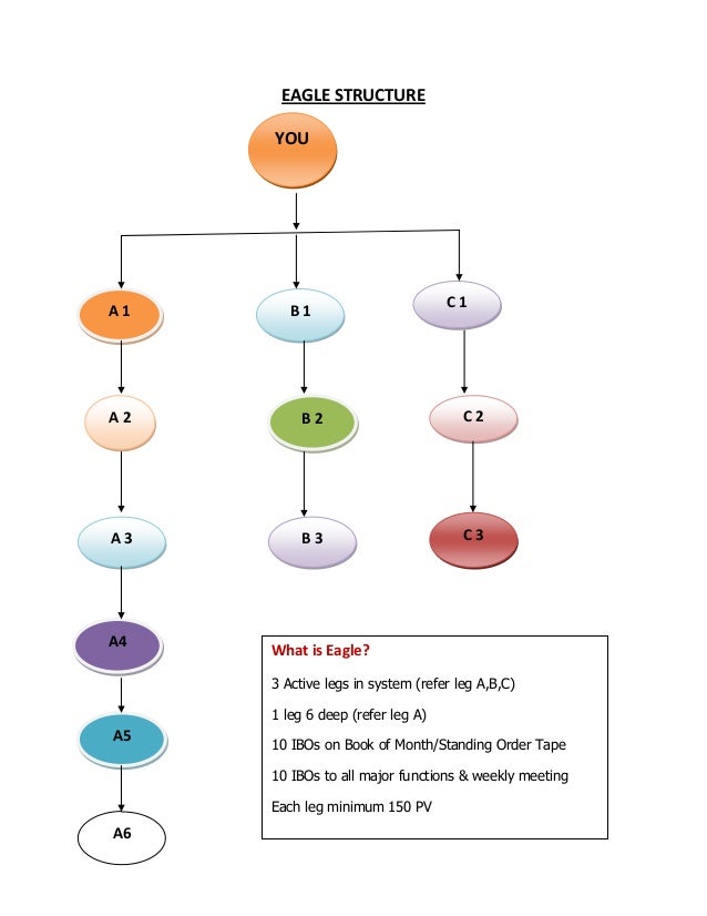 Amway Pin Chart