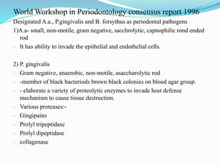 World Workshop in Periodontology consensus report 1996
Designated A.a., P.gingivalis and B. forsythus as periodontal pathogens
1)A.a- small, non-motile, gram negative, sacchrolytic, capnophilic rond ended
rod
- It has ability to invade the epithelial and endothelial cells.
2) P. gingivalis
- Gram negative, anaerobic, non-motile, asaccharolytic rod
- -member of black bacteriods brown black colonies on blood agar group.
- - elaborate a variety of proteolytic enzymes to invade host defense
mechanism to cause tissue destruction.
- Various proteases:-
- Gingipains
- Prolyl tripeptidase
- Prolyl dipeptidase
- collagenase
 