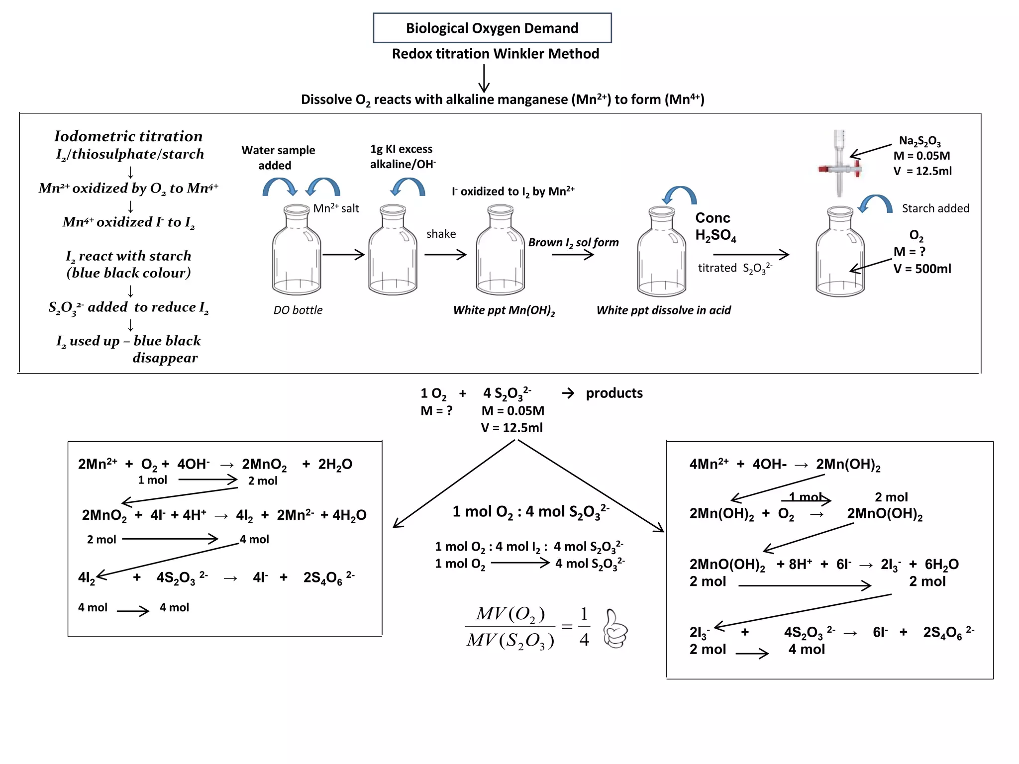 Biological Oxygen Demand
2Mn2+ + O2 + 4OH- → 2MnO2 + 2H2O
2MnO2 + 4I- + 4H+ → 4I2 + 2Mn2- + 4H2O
4I2 + 4S2O3
2- → 4I- + 2S4O6
2-
Dissolve O2 reacts with alkaline manganese (Mn2+) to form (Mn4+)
4Mn2+ + 4OH- → 2Mn(OH)2
1 mol 2 mol
2Mn(OH)2 + O2 → 2MnO(OH)2
2MnO(OH)2 + 8H+ + 6I- → 2I3
- + 6H2O
2 mol 2 mol
2I3
- + 4S2O3
2- → 6I- + 2S4O6
2-
2 mol 4 mol
DO bottle
Mn2+ salt
1g KI excess
alkaline/OH-
shake
White ppt Mn(OH)2
Conc
H2SO4
White ppt dissolve in acid
Na2S2O3
M = 0.05M
V = 12.5ml
titrated S2O3
2-
1 O2 + 4 S2O3
2- → products
M = ? M = 0.05M
V = 12.5ml
I- oxidized to I2 by Mn2+
O2
M = ?
V = 500ml
2 mol 4 mol
4 mol 4 mol
1 mol O2 : 4 mol I2 : 4 mol S2O3
2-
1 mol O2 4 mol S2O3
2-
Brown I2 sol form
Starch added
Water sample
added
1 mol O2 : 4 mol S2O3
2-
Iodometric titration
I2/thiosulphate/starch
↓
Mn2+ oxidized by O2 to Mn4+
↓
Mn4+ oxidized I- to I2
I2 react with starch
(blue black colour)
↓
S2O3
2- added to reduce I2
↓
I2 used up – blue black
disappear
1 mol 2 mol
4
1
)(
)(
32
2

OSMV
OMV
Redox titration Winkler Method
 