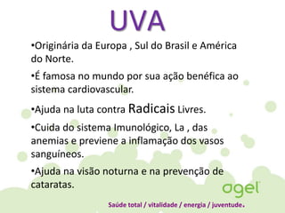 UVA
•Originária da Europa , Sul do Brasil e América
do Norte.
•É famosa no mundo por sua ação benéfica ao
sistema cardiovascular.
•Ajuda na luta contra Radicais Livres.
•Cuida do sistema Imunológico, La , das
anemias e previene a inflamação dos vasos
sanguíneos.
•Ajuda na visão noturna e na prevenção de
cataratas.
Saúde total / vitalidade / energia / juventude.
 