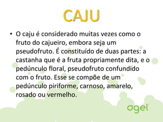 CAJU
• O caju é considerado muitas vezes como o
fruto do cajueiro, embora seja um
pseudofruto. É constituído de duas partes: a
castanha que é a fruta propriamente dita, e o
pedúnculo floral, pseudofruto confundido
com o fruto. Esse se compõe de um
pedúnculo piriforme, carnoso, amarelo,
rosado ou vermelho.
 