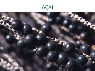 AÇAÍ
 