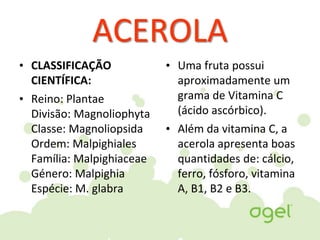 ACEROLA
• CLASSIFICAÇÃO
CIENTÍFICA:
• Reino: Plantae
Divisão: Magnoliophyta
Classe: Magnoliopsida
Ordem: Malpighiales
Família: Malpighiaceae
Género: Malpighia
Espécie: M. glabra
• Uma fruta possui
aproximadamente um
grama de Vitamina C
(ácido ascórbico).
• Além da vitamina C, a
acerola apresenta boas
quantidades de: cálcio,
ferro, fósforo, vitamina
A, B1, B2 e B3.
 