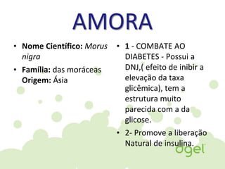 AMORA
• Nome Científico: Morus
nigra
• Família: das moráceas
Origem: Ásia
• 1 - COMBATE AO
DIABETES - Possui a
DNJ,( efeito de inibir a
elevação da taxa
glicêmica), tem a
estrutura muito
parecida com a da
glicose.
• 2- Promove a liberação
Natural de insulina.
 