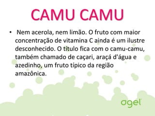 CAMU CAMU
• Nem acerola, nem limão. O fruto com maior
concentração de vitamina C ainda é um ilustre
desconhecido. O título fica com o camu-camu,
também chamado de caçari, araçá d'água e
azedinho, um fruto típico da região
amazônica.
 