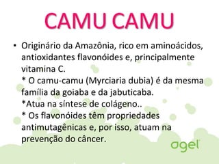 CAMU CAMU
• Originário da Amazônia, rico em aminoácidos,
antioxidantes flavonóides e, principalmente
vitamina C.
* O camu-camu (Myrciaria dubia) é da mesma
família da goiaba e da jabuticaba.
*Atua na síntese de colágeno..
* Os flavonóides têm propriedades
antimutagênicas e, por isso, atuam na
prevenção do câncer.
 